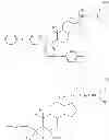 Fig. 45 - Liquid crystal display device and method of manufacturing the same