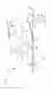 Fig. 02 - Ophthalmologic apparatus