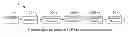 Fig. 01 - PLC FCH unitary circle differential symbol and preamble encoding determination