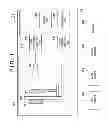 Fig. 02 - RADIATION IMAGING SYSTEM, INFORMATION PROCESSING METHOD IN RADIATION IMAGING SYSTEM, CONTROL APPARATUS, AND STORAGE MEDIUM
