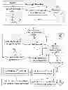 Fig. 01 - Novel encryption processes based upon irrational numbers and devices to accomplish the same