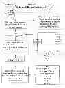 Fig. 12 - Novel encryption processes based upon irrational numbers and devices to accomplish the same