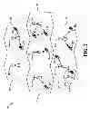 Fig. 03 - Methods and apparatus for providing additional security for communication of sensitive information