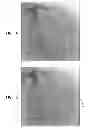 Fig. 04 - Apparatus and methods for reducing visibility of a periphery of an image stream
