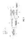 Fig. 02 - USER RECOGNITION AND CONFIRMATION DEVICE AND METHOD, AND CENTRAL CONTROL SYSTEM FOR VEHICLES USING THE SAME