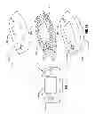 Fig. 07 - USER INTERCHANGEABLE ORNAMENTAL PORTIONS OF ELECTRONIC DEVICES