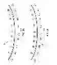 Fig. 07 - Limiting movement