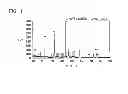 Fig. 09 - Method for producing sodium tungstate, method for collecting tungsten, apparatus for producing sodium tungstate, and method for producing sodium tungstate aqueous solution