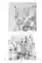 Fig. 02 - METHOD FOR THE DEPOSITON OF METALS ON SUPPORT OXIDES