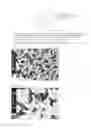 Fig. 09 - Method for production of zinc oxide particles