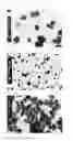 Fig. 11 - Method for production of zinc oxide particles
