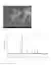 Fig. 12 - Method for production of zinc oxide particles