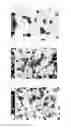 Fig. 14 - Method for production of zinc oxide particles