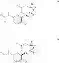 Fig. 08 - [1,3]oxazines