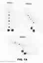 Fig. 02 - Nucleic acid probes and methods of using the same