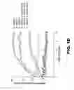Fig. 04 - Nucleic acid probes and methods of using the same