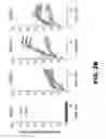 Fig. 06 - Nucleic acid probes and methods of using the same