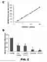 Fig. 07 - Nucleic acid probes and methods of using the same