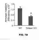 Fig. 28 - Nucleic acid probes and methods of using the same