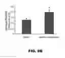Fig. 34 - Nucleic acid probes and methods of using the same