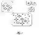 Fig. 02 - MAGNETIC RELAXOMETRY USING MAGNETIZATION AND MEASUREMENT FIELDS