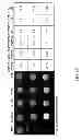Fig. 43 - Melanocortin 1 receptor ligands and methods of use