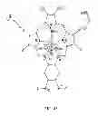 Fig. 55 - Melanocortin 1 receptor ligands and methods of use