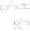 Fig. 16 - SUBCUTANEOUS DELIVERY OF POLY(OXAZOLINE) POLYMER CONJUGATES
