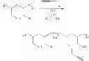 Fig. 32 - SUBCUTANEOUS DELIVERY OF POLY(OXAZOLINE) POLYMER CONJUGATES