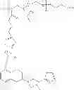 Fig. 40 - SUBCUTANEOUS DELIVERY OF POLY(OXAZOLINE) POLYMER CONJUGATES