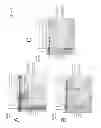 Fig. 08 - Method of treating lysosomal storage diseases