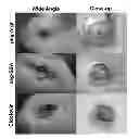 Fig. 01 - Methods for treatment of inflammatory and infectious viral diseases