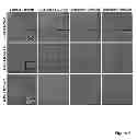 Fig. 08 - Methods for treatment of inflammatory and infectious viral diseases
