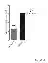 Fig. 32 - Methods for treatment of inflammatory and infectious viral diseases