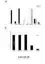 Fig. 26 - METHOD FOR ENHANCING THE CLEAVAGE ACTIVITY OF I-CREI DERIVED MEGANUCLEASES