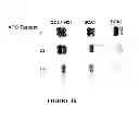 Fig. 28 - METHOD FOR ENHANCING THE CLEAVAGE ACTIVITY OF I-CREI DERIVED MEGANUCLEASES