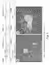 Fig. 06 - Methods and formulations promoting tissue/organ regeneration, longevity and healthspan