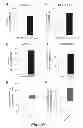 Fig. 11 - Methods and formulations promoting tissue/organ regeneration, longevity and healthspan