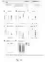 Fig. 12 - Methods and formulations promoting tissue/organ regeneration, longevity and healthspan