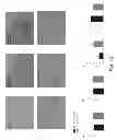Fig. 19 - Methods and formulations promoting tissue/organ regeneration, longevity and healthspan