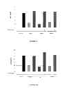Fig. 07 - NOVEL ANTI-CMET ANTIBODY