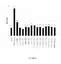 Fig. 20 - NOVEL ANTI-CMET ANTIBODY