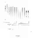 Fig. 22 - NOVEL ANTI-CMET ANTIBODY