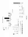 Fig. 31 - NOVEL ANTI-CMET ANTIBODY