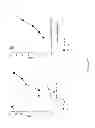 Fig. 35 - NOVEL ANTI-CMET ANTIBODY