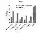 Fig. 09 - Optimized Antibodies That Target CD19