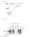 Fig. 04 - Epitope and its use of hepatitis B virus surface antigen