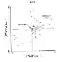 Fig. 06 - CTLA4-Ig immunoadhesins