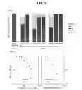 Fig. 04 - Anti-ceramide monoclonal antibody 2A2