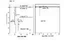 Fig. 05 - Anti-ceramide monoclonal antibody 2A2